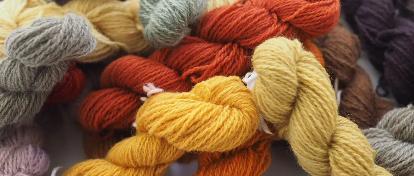 Växt- och svampfärgning 15-19  juni Växt- och svampfärgning 15-19  juni